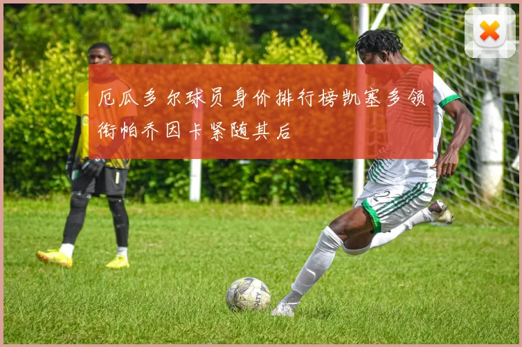 厄瓜多尔球员身价排行榜凯塞多领衔帕乔因卡紧随其后