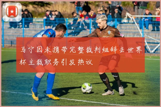 马宁因未携带完整裁判组辞去世界杯主裁职务引发热议