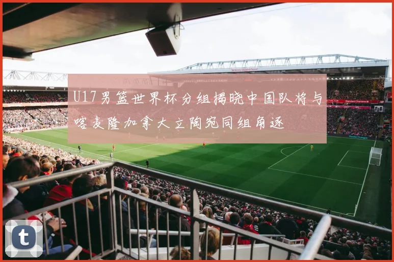 U17男篮世界杯分组揭晓中国队将与喀麦隆加拿大立陶宛同组角逐