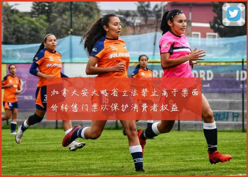 加拿大安大略省立法禁止高于票面价转售门票以保护消费者权益